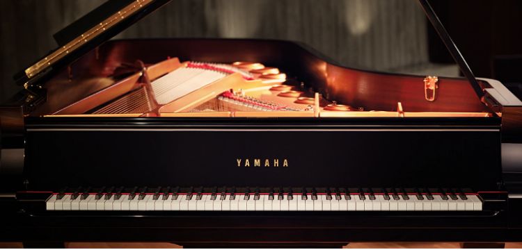 các dòng đàn yamaha grand