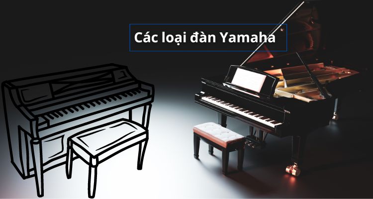 thum các loại đàn yamha