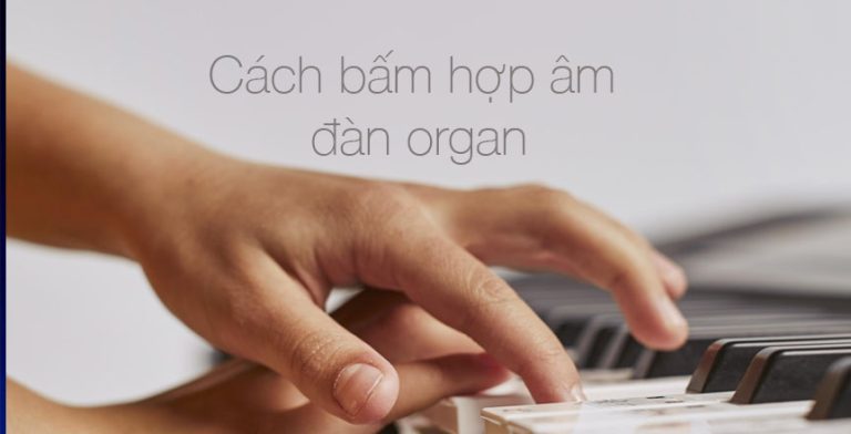 thum cách bấm hợp âm đàn organ