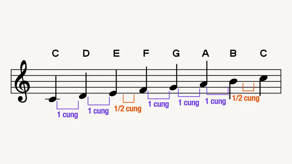 Khám Phá Gam, Âm Giai, Scale: Kiến Thức Cơ Bản Cần Biết 7 gam trưởng