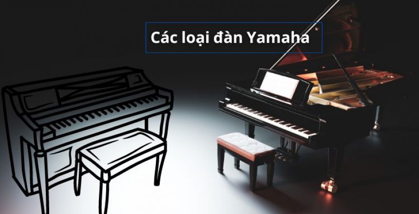 thum các loại đàn yamha